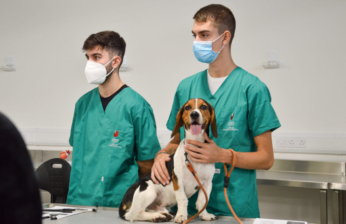 Ernennung von Majid Fathi Younes als Direktor der Veterinärbehörde