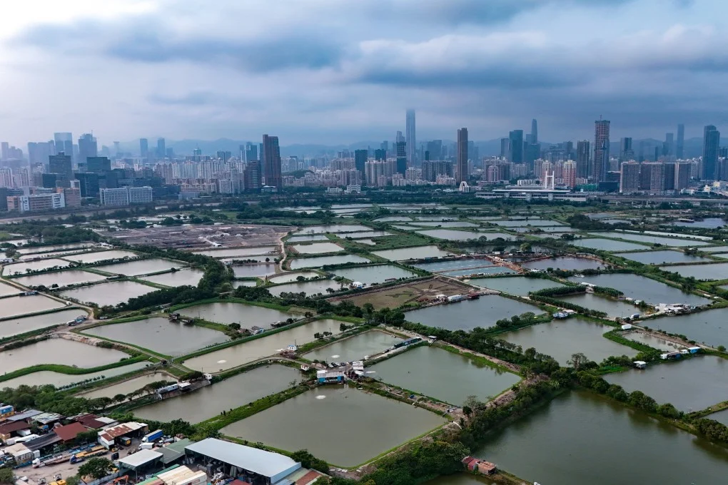 ارتفاع فائض هونغ كونغ إلى 11 مليار دولار