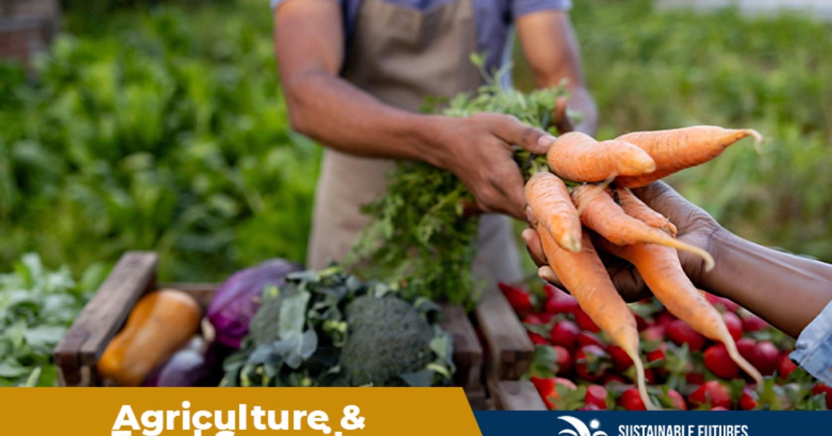 Indonesien als Großmacht in der Ernährungssicherheit