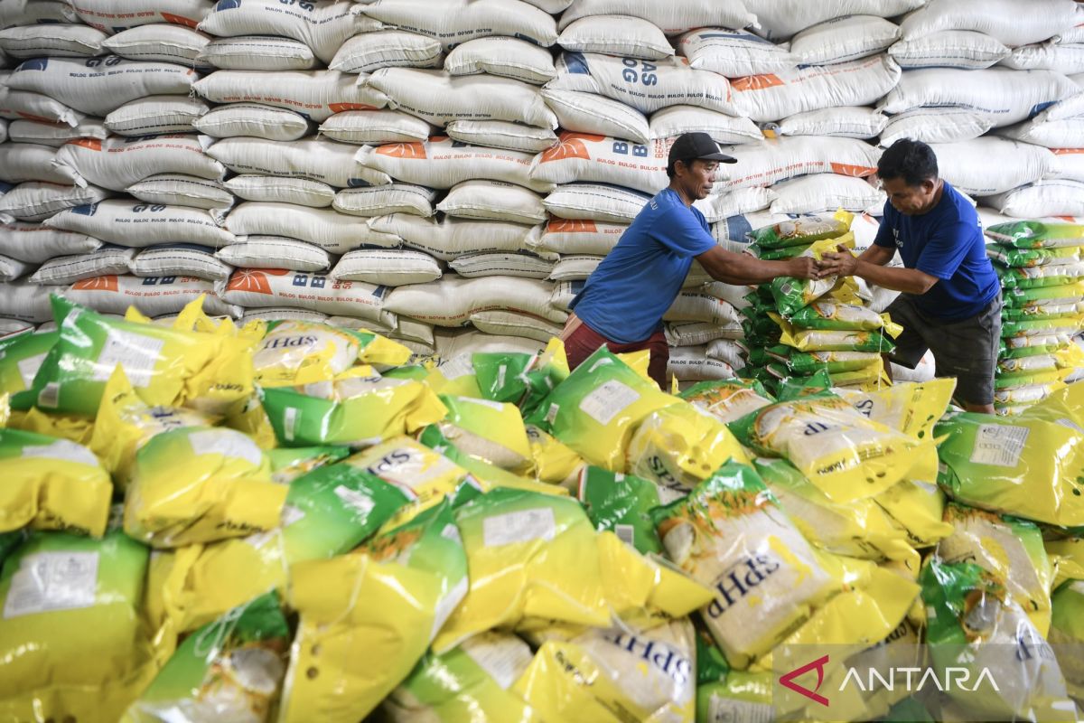 توافر الأرز في إندونيسيا: ضمانات جديدة