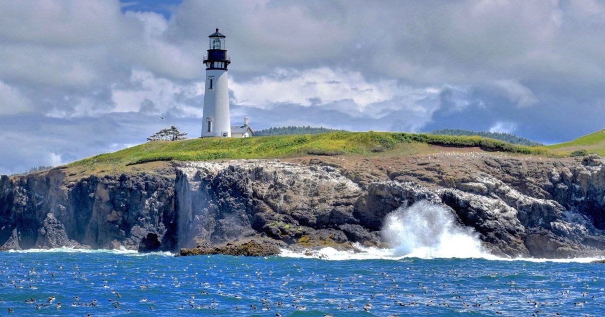 تخفيضات الأسعار في السوق العقاري: تحليل شامل