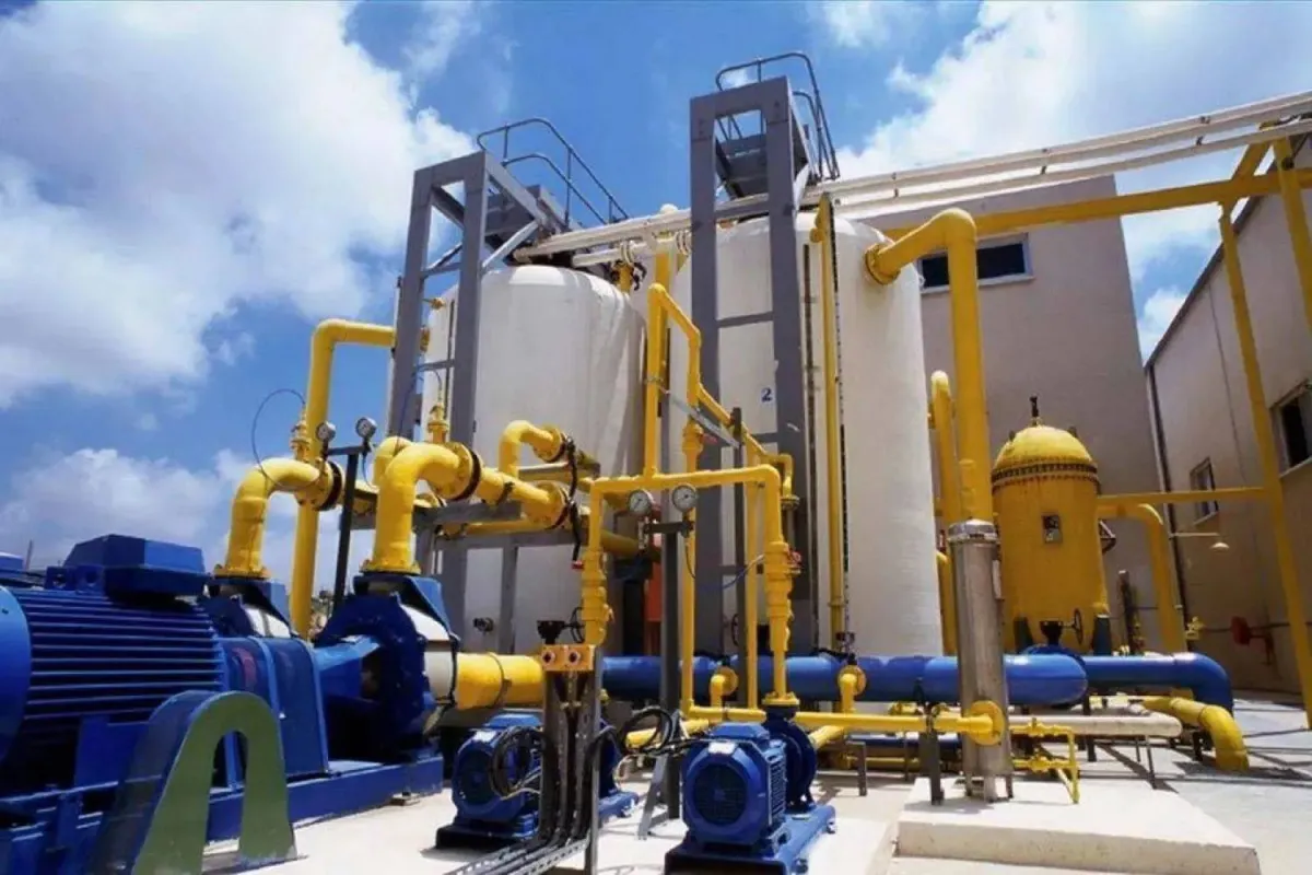 Al-Kharif steigert Gewinne um 11% bis 2025