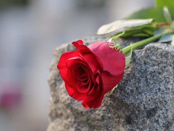 Transmettre les condoléances du roi à la famille Daoud