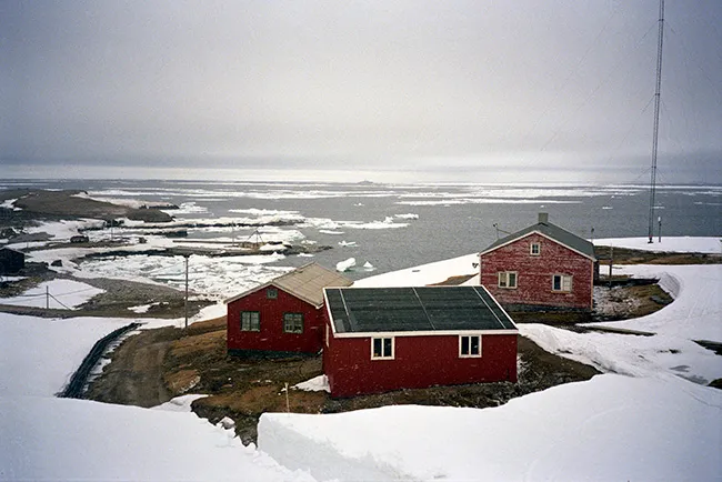 الإمارات تنضم إلى معاهدة سفالبارد لتعزيز التعاون الدولي