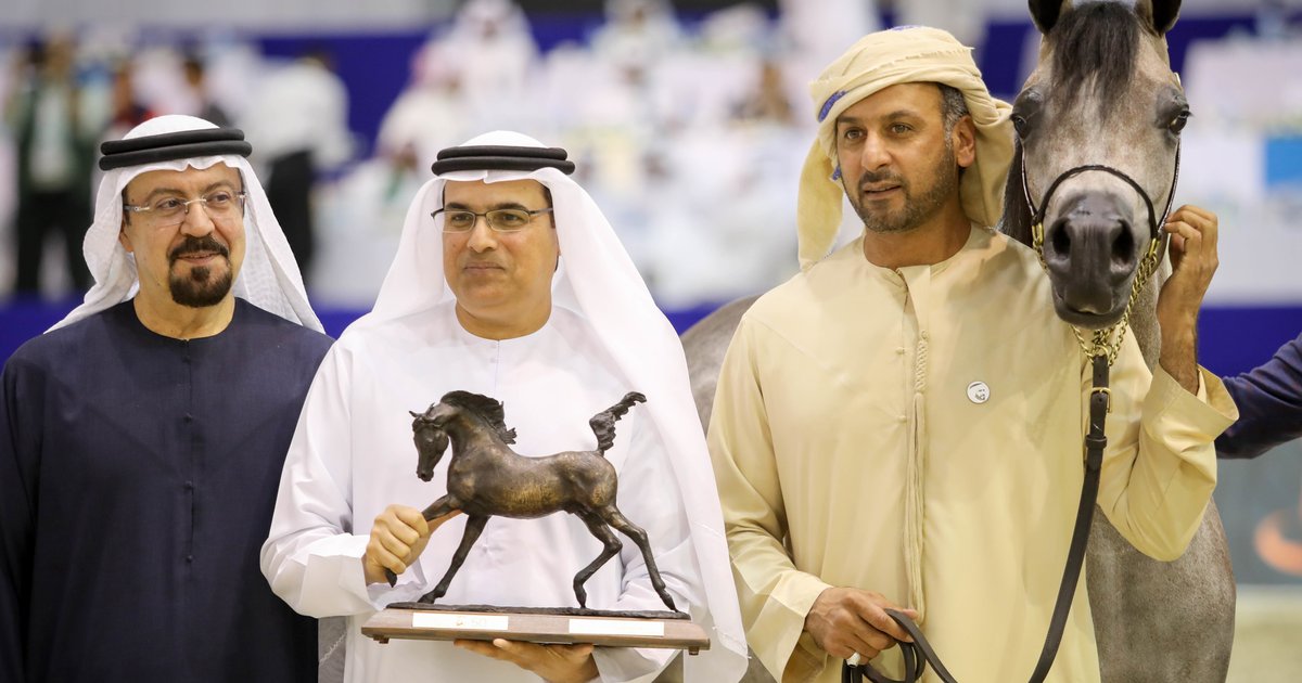 كأس المدربين في دبي: حدث رياضي مميز للفروسية