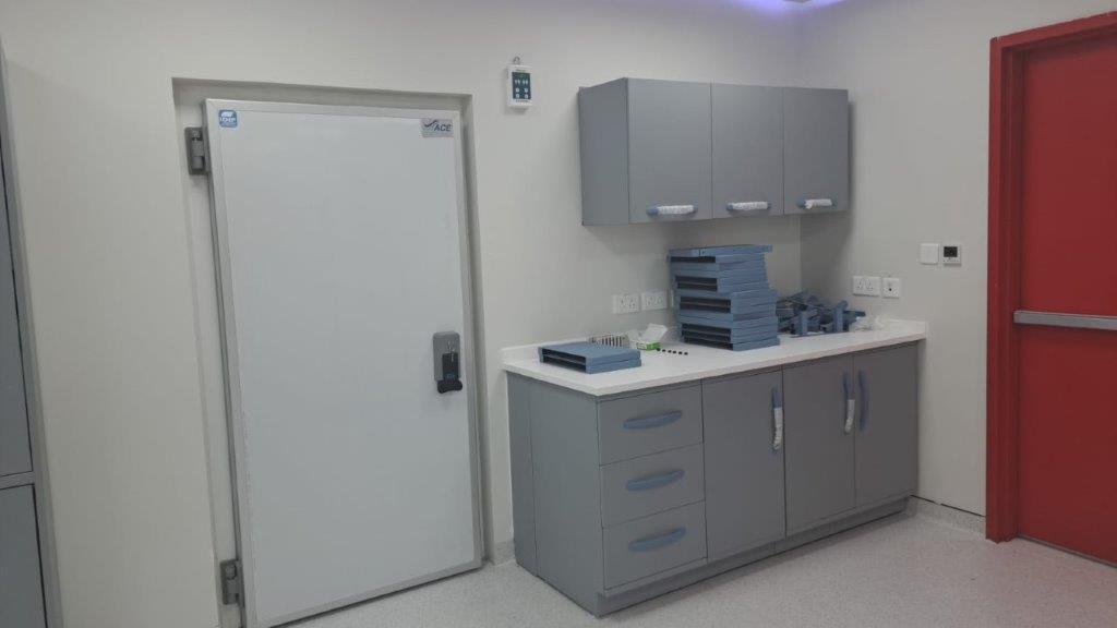 Fortschritt beim Bau der Brücke des König-Fahd-Krankenhauses