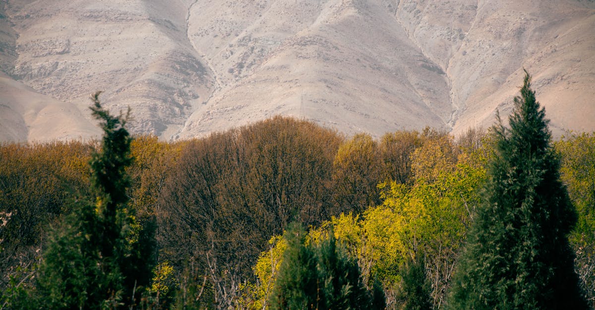 تراجع أسعار الطاقة والدولار بعد الهدنة مع إيران