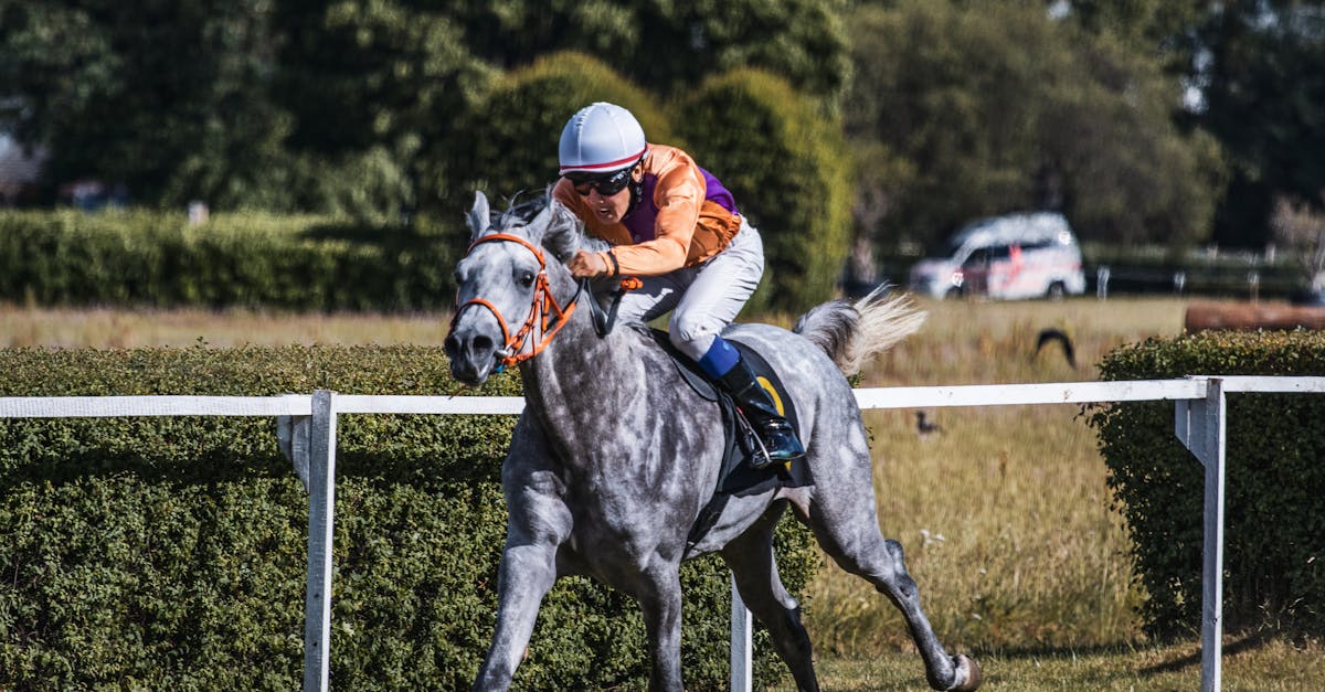 كأس دبي العالمي 2026: تفاصيل السباقات والجوائز