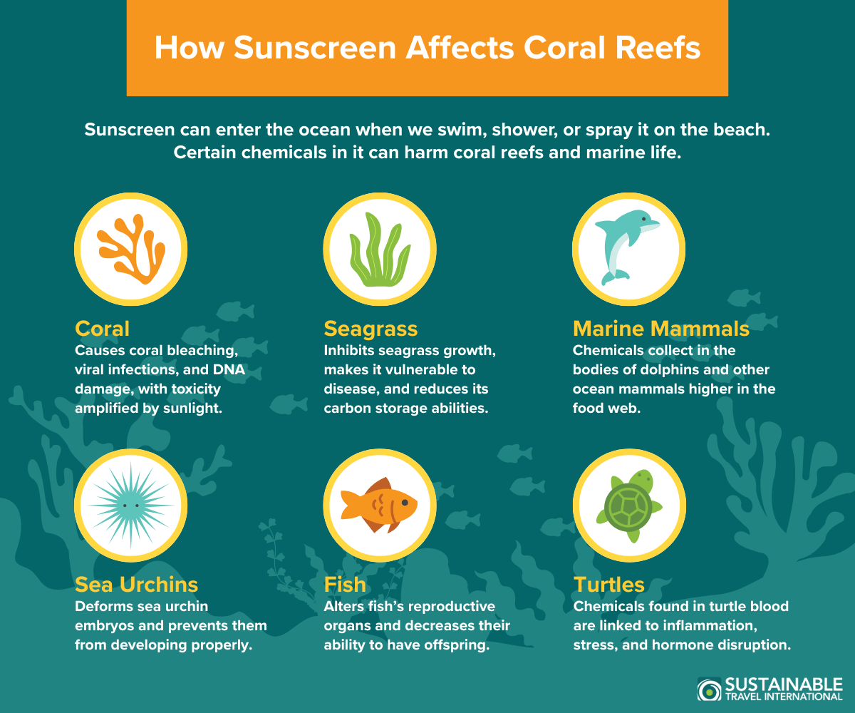 أضرار واقيات الشمس على الشعاب المرجانية