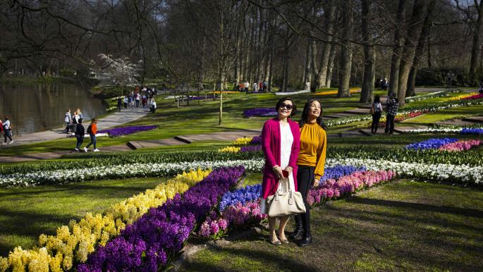 مهرجانات الربيع: تجارب ثقافية غنية للسياح
