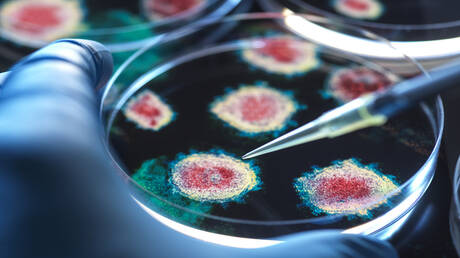 Découverte d'un virus géant au Japon