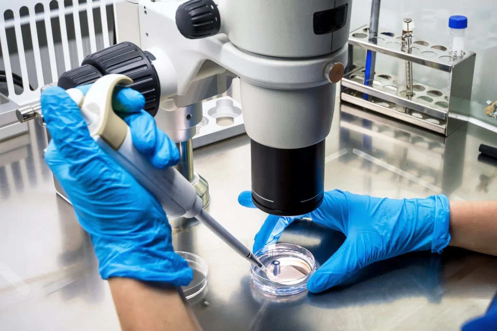 Innovent und Pfizer zur Entwicklung von Krebsbehandlungen