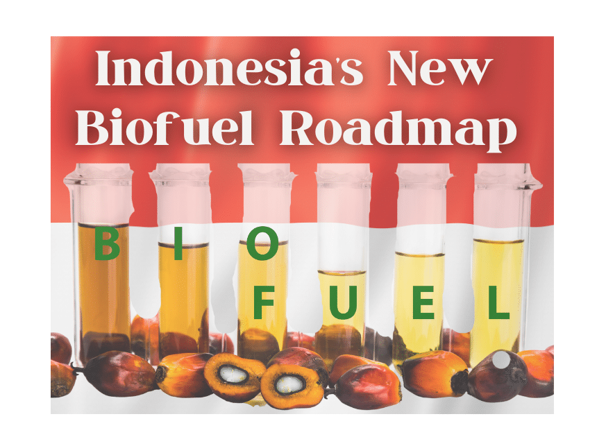 برنامج B50 في إندونيسيا: تعزيز الإنتاج الزراعي وتقليل الواردات