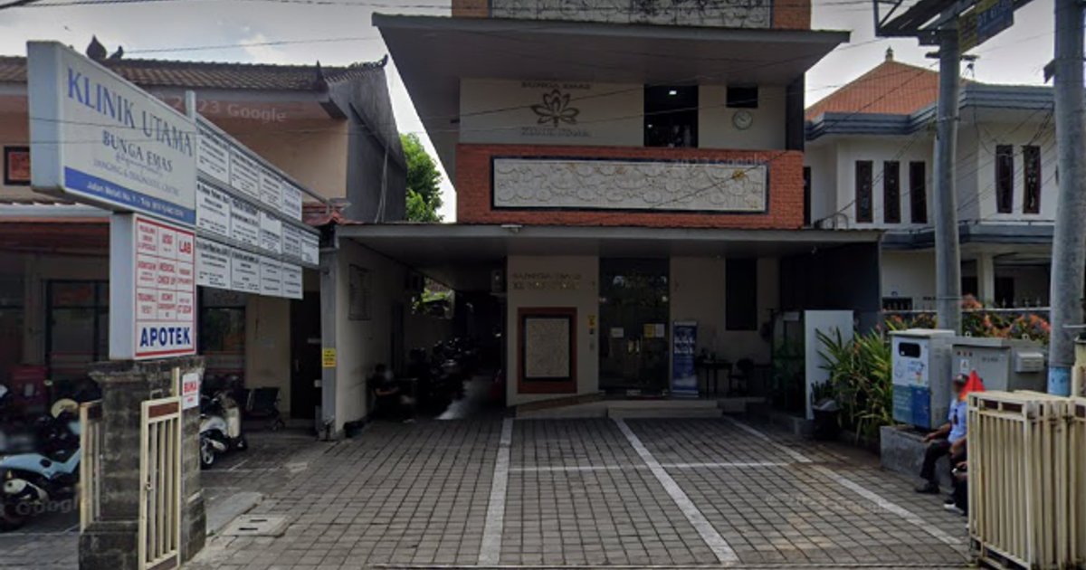 Remote Work System in Indonesia and Its Impact on Public Services