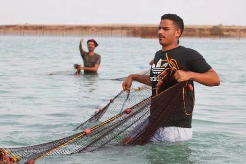 مهرجان الحريد في جزر فرسان: احتفال بالتراث والثقافة
