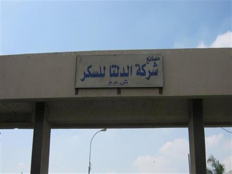 شركة الدلتا للسكر تحقق 51 مليون يورو من بيع مخلفات البنجر
