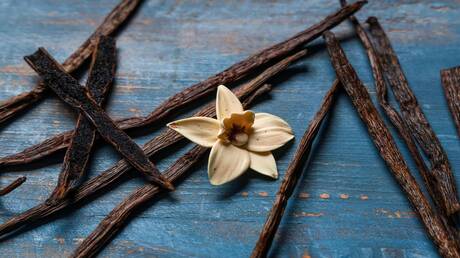 فوائد صحية مذهلة للفانيليا تتجاوز النكهة