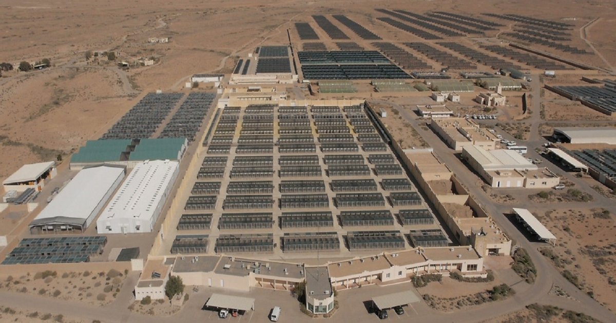 Visite du prince Turki au centre de reproduction des houbara