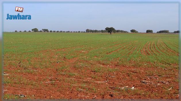 Hindistan'da Genç İşsizlik Krizi ve Süregelen Etkileri