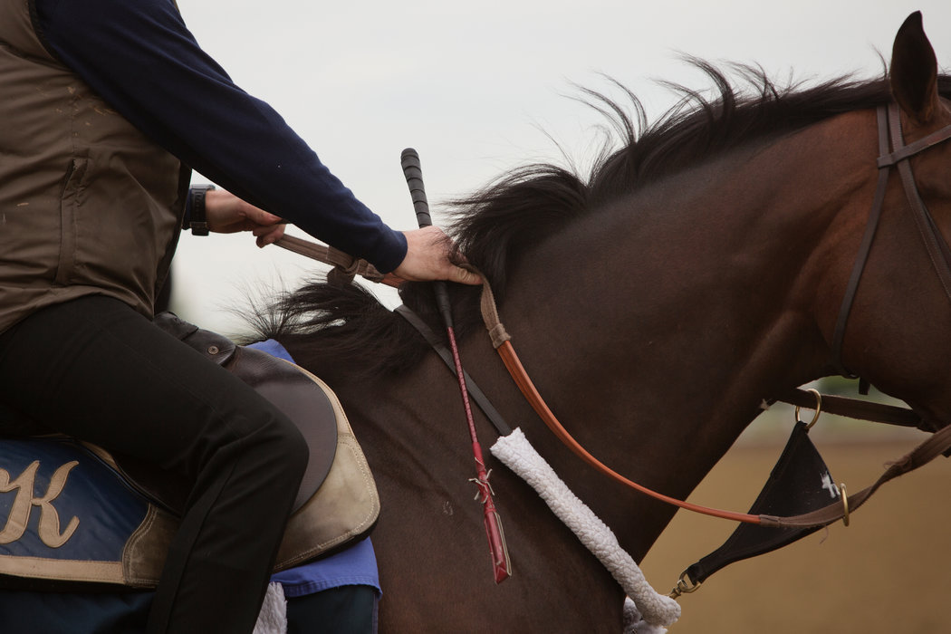 Sicherstellung eines Karrenfahrers, der sein Pferd schlägt