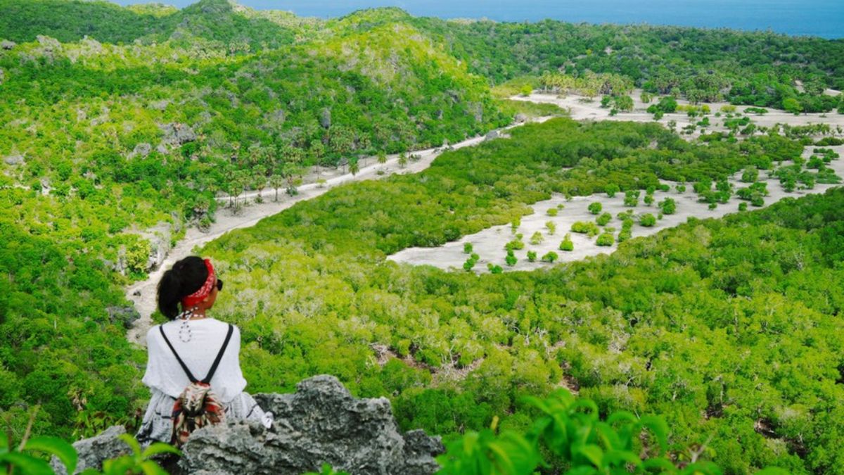 إنقاذ الحيتان في إندونيسيا: تكريم الشرطة لجهودها