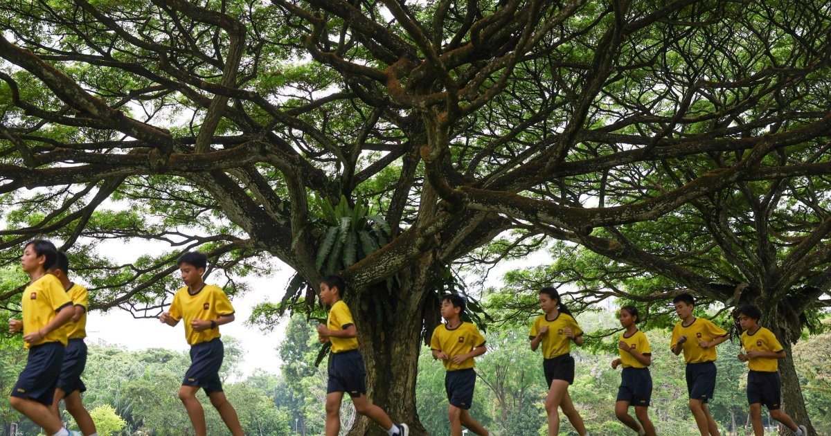 Hitzetage in Singapur: Warnungen für gefährdete Gruppen