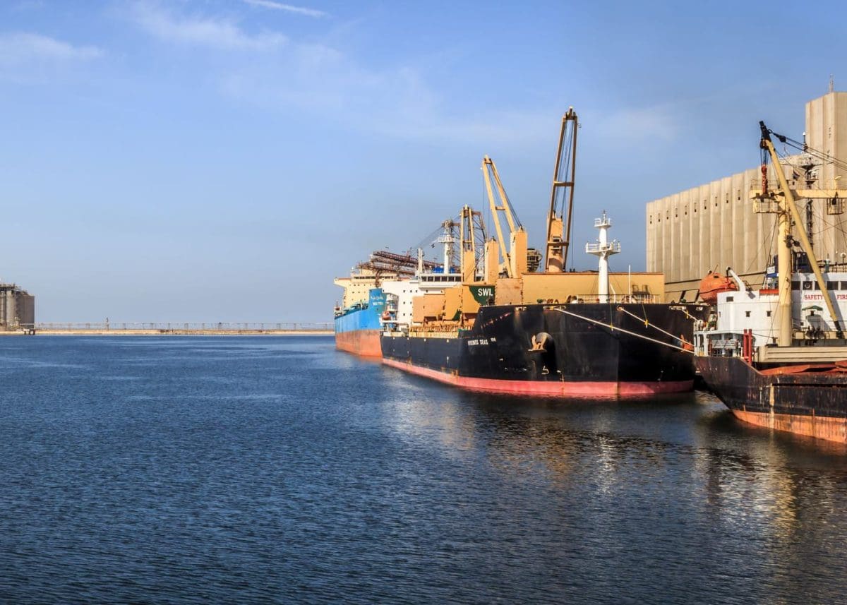 توريد 62 ألف طن قمح إلى الشرقية