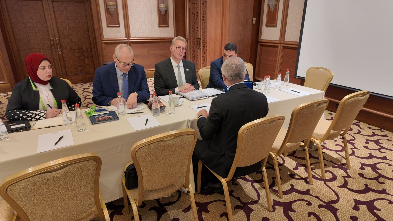 تعزيز الشراكة مع شركات الطاقة التركية في مصر