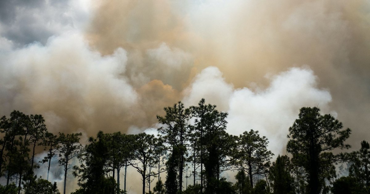 Impactul economic al emisiilor de gaze cu efect de seră