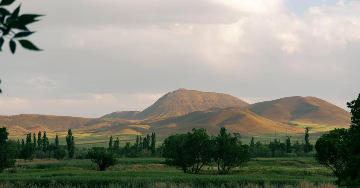 انخفاض أسعار الحبوب بفعل هدنة إيران وتحسن الطقس