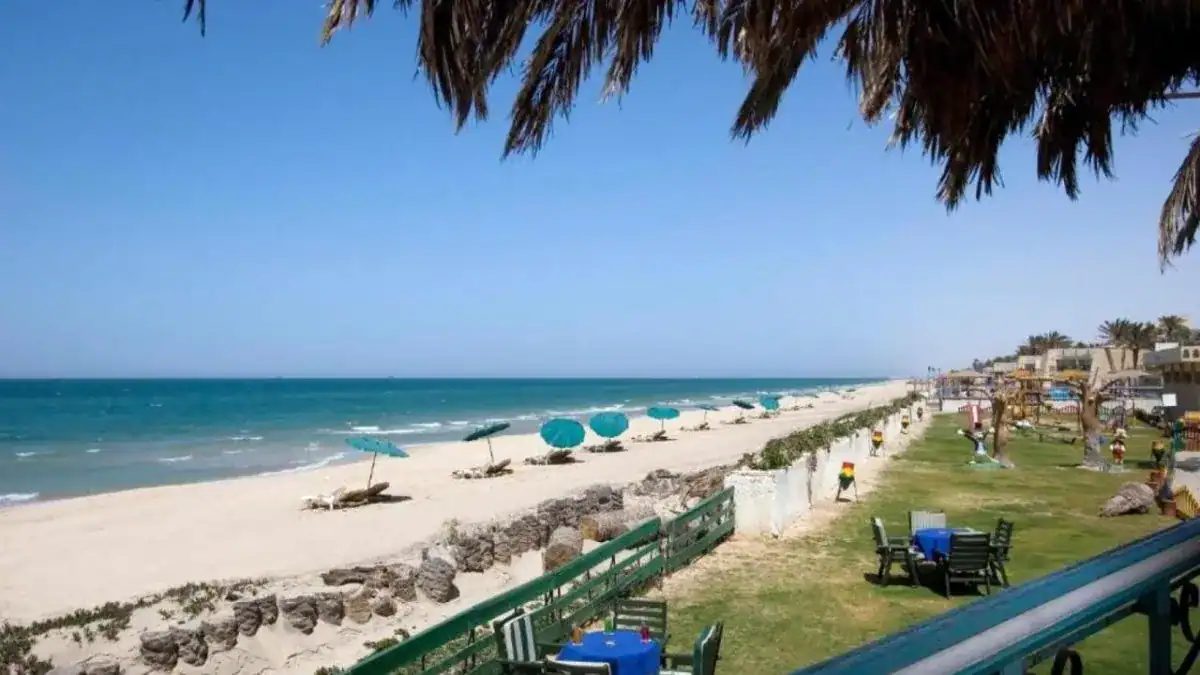 أمطار خفيفة في العريش تعيد الأمل للمزارعين