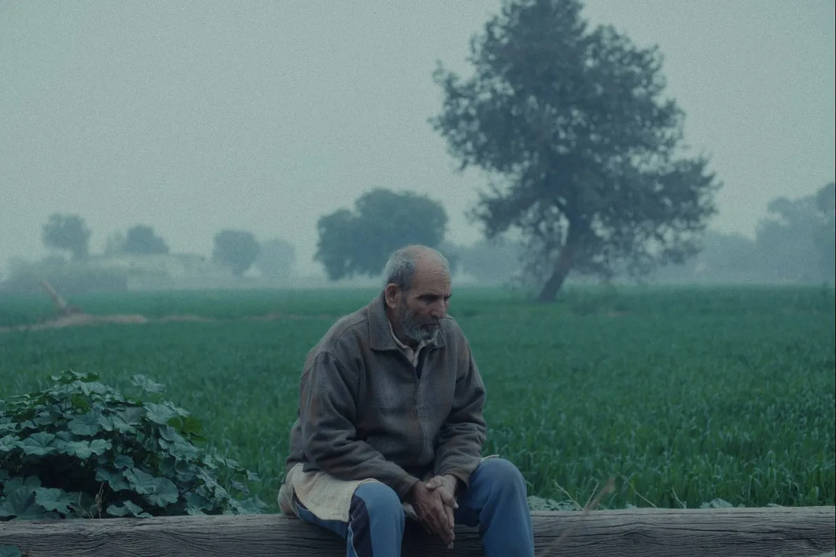 فيلم "العِجل البديل" يوثق التحولات الاجتماعية في الهند