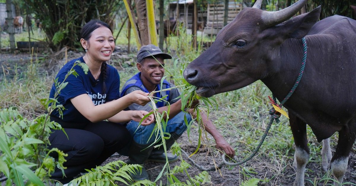 برنامج Flash Sale Qurban لتسهيل الأضاحي في إندونيسيا