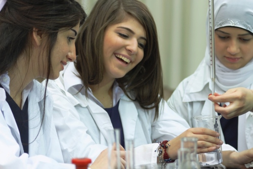 Reform der Grundbildung im arabischen Raum