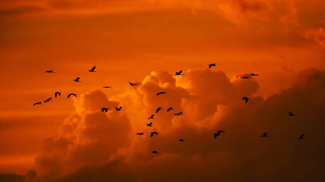 Seltenes Wetterphänomen in Australien: roter Himmel