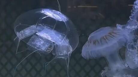 Chinese Robot for Ocean Exploration with Stealth Technology