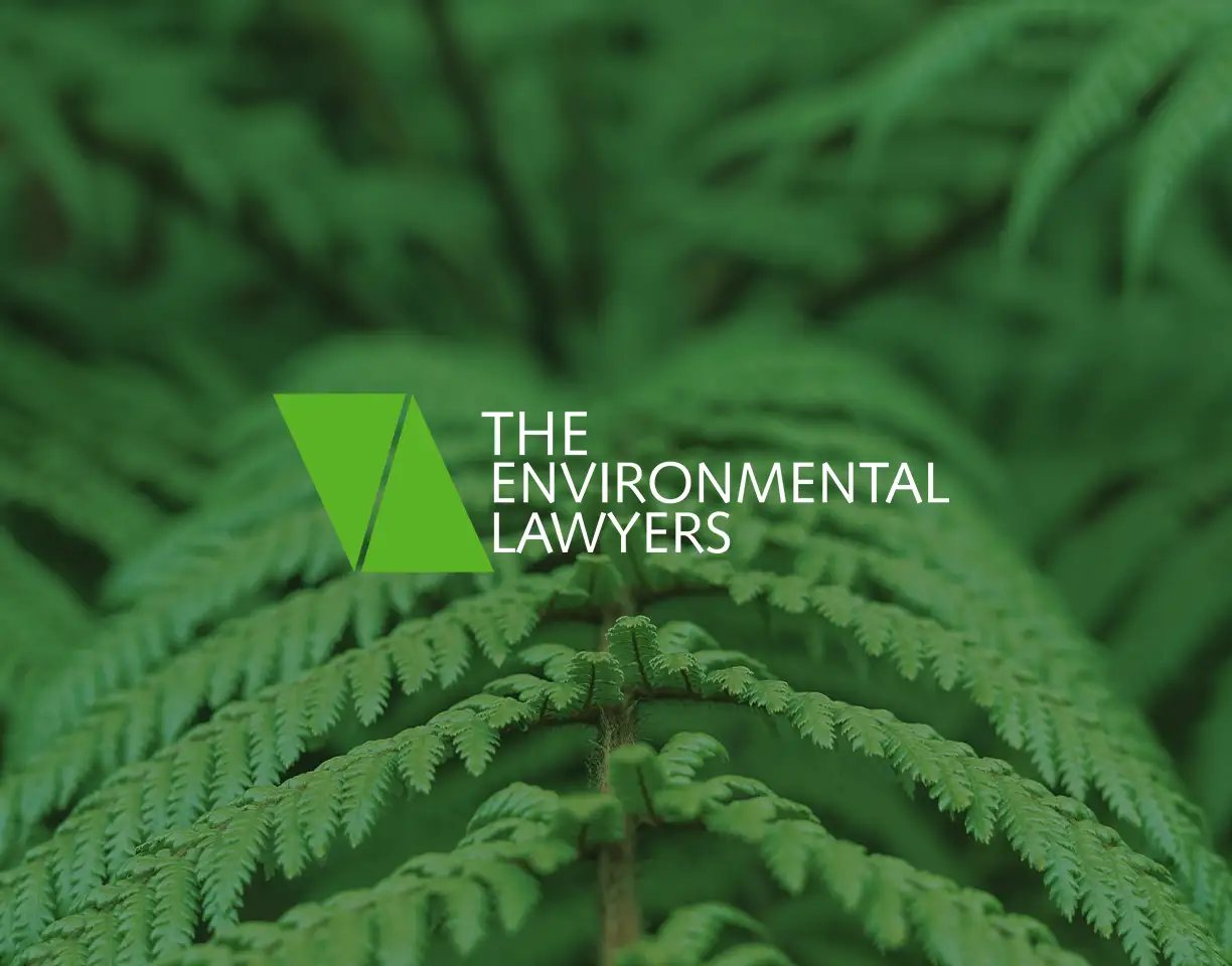 Assiut Begins Procedures to Remove Spatial Changes