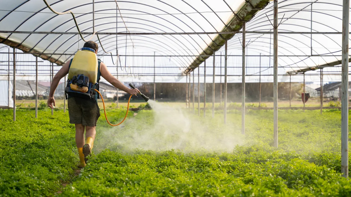 علاقة المبيدات الحشرية بالسرطان في بيرو