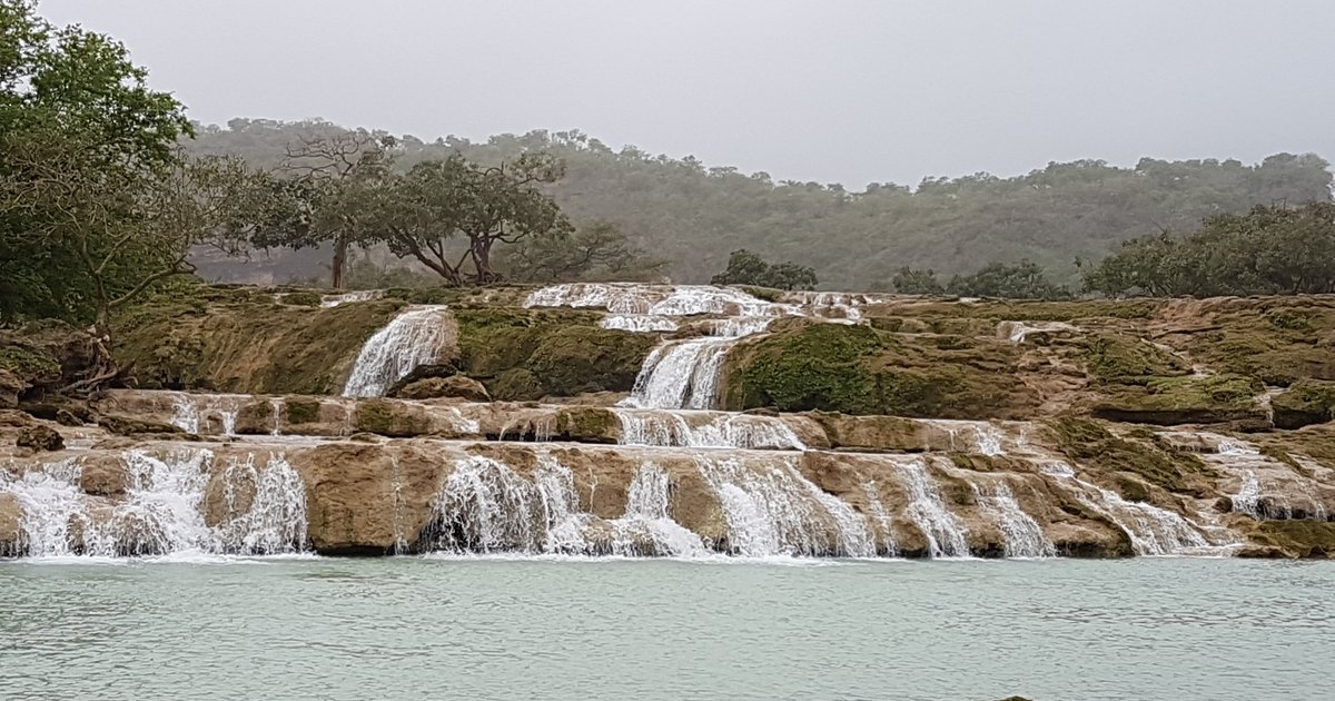 Wadi Dhark erstrahlt im Frühling nach Regenfällen