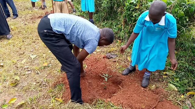 مبادرة زراعة الأشجار في إندونيسيا