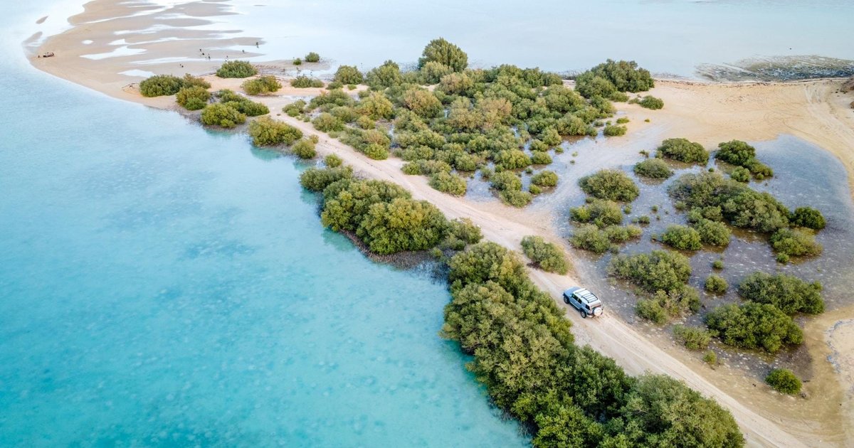 جزر فرسان: وجهة سياحية مستدامة في البحر الأحمر