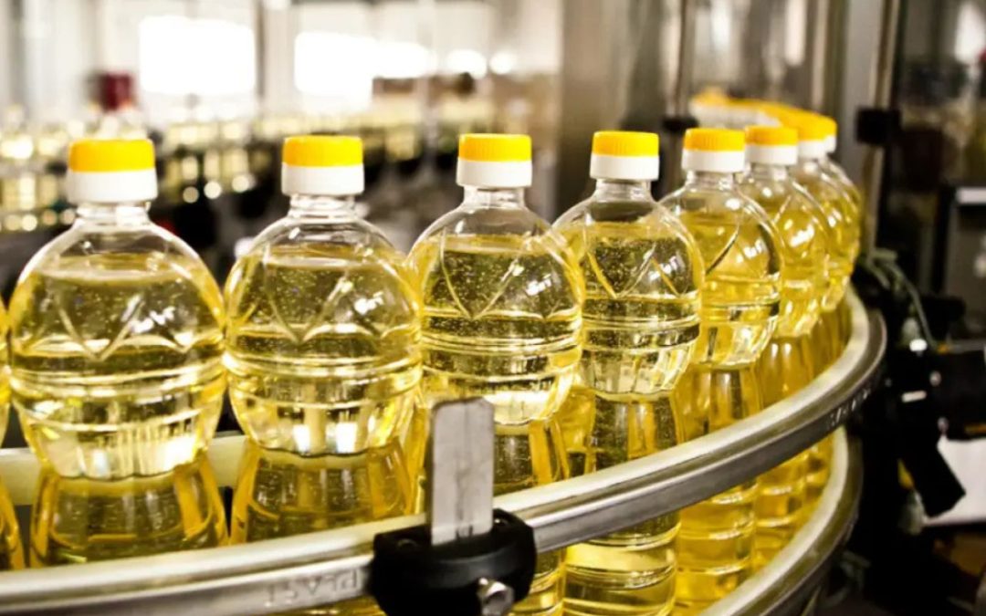 تعزيز إنتاج زيت النخيل لمواجهة الطلب على البيوديزل