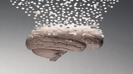 دراسة تكشف تأثير البيئة على شيخوخة الدماغ