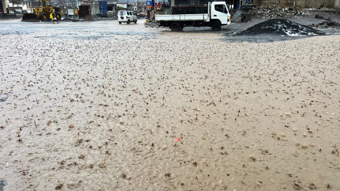 2,090 Displaced Families Affected by Rains in Marib