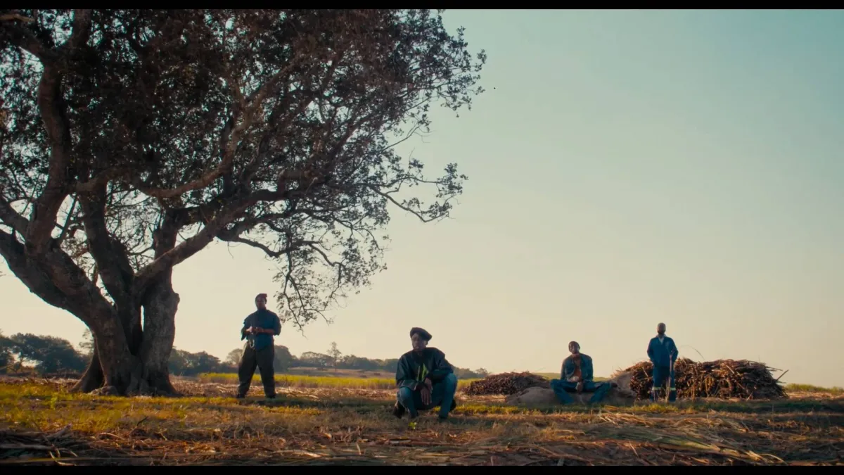 اختبار دم يكشف السرطان وأمراض الكبد بتكلفة منخفضة