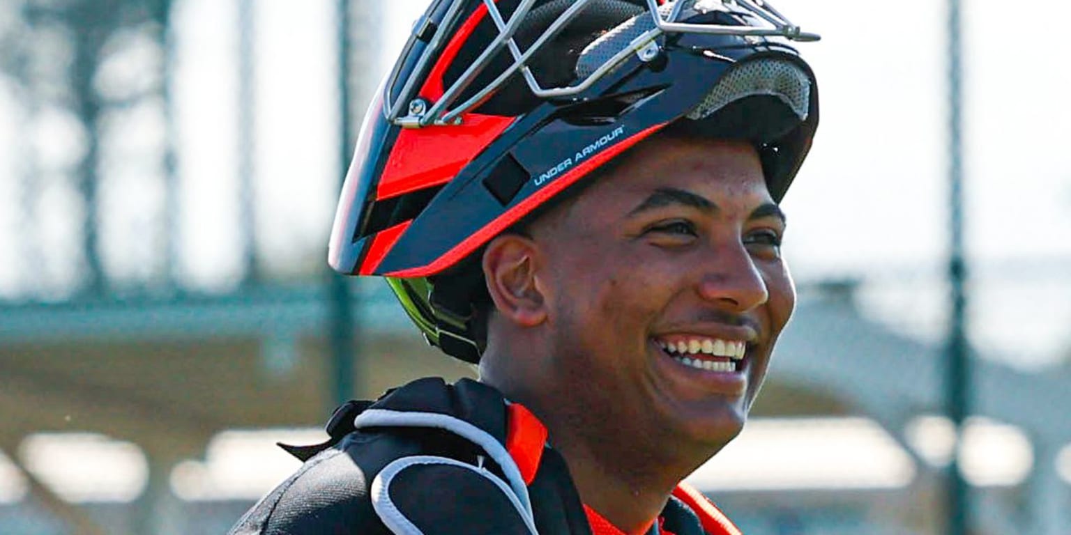 Erster Einsatz der automatischen Schiedsrichtertechnik in der MLB