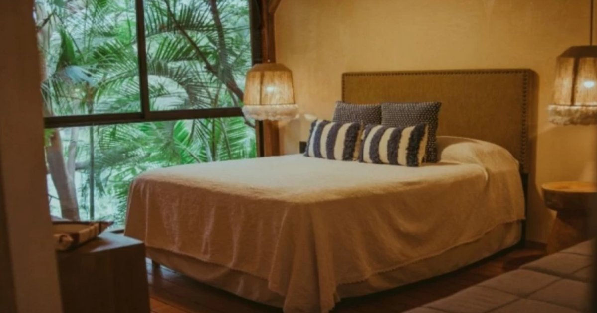 Teste dein Wissen: Finde den versteckten Kamm in 8 Sekunden