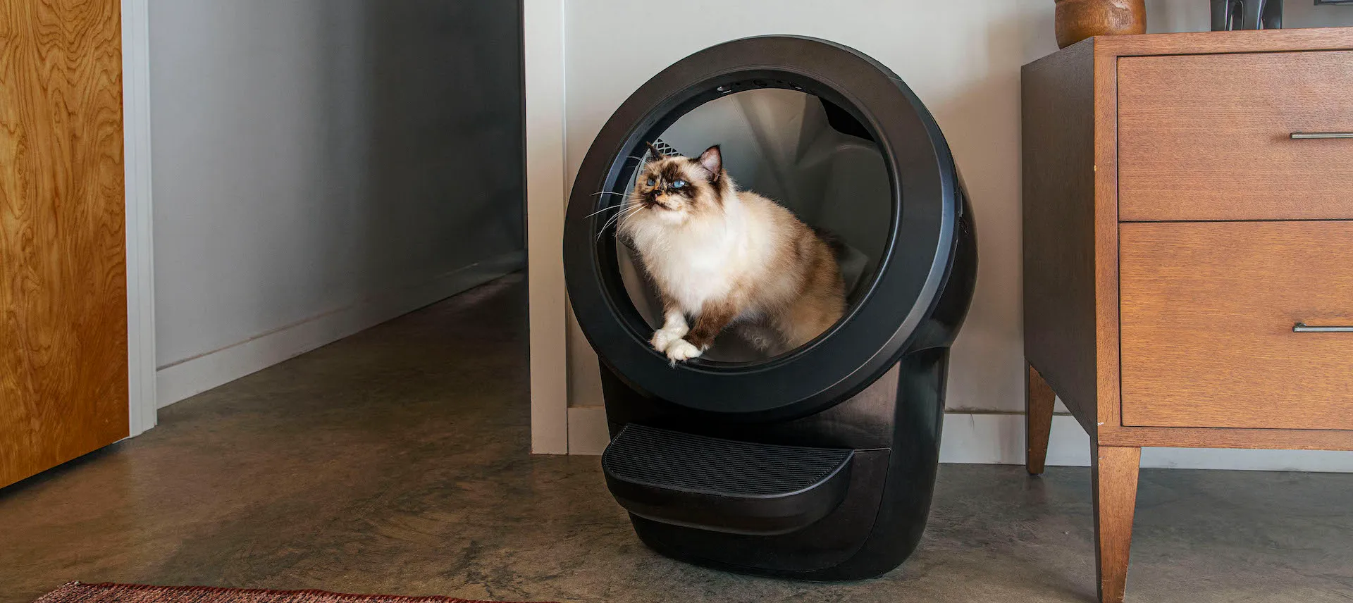 Litter-Robot Discounts on Automatic Cat Litter Boxes