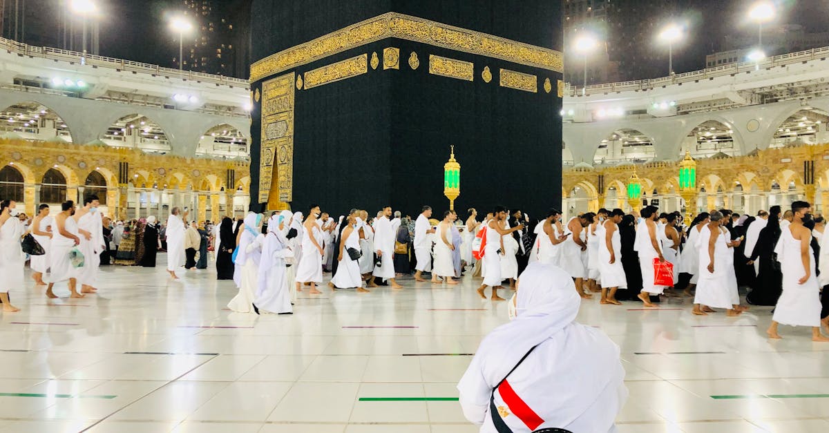 380 شركة تقدم 14 مليون وجبة للحجاج مع أنظمة تتبع