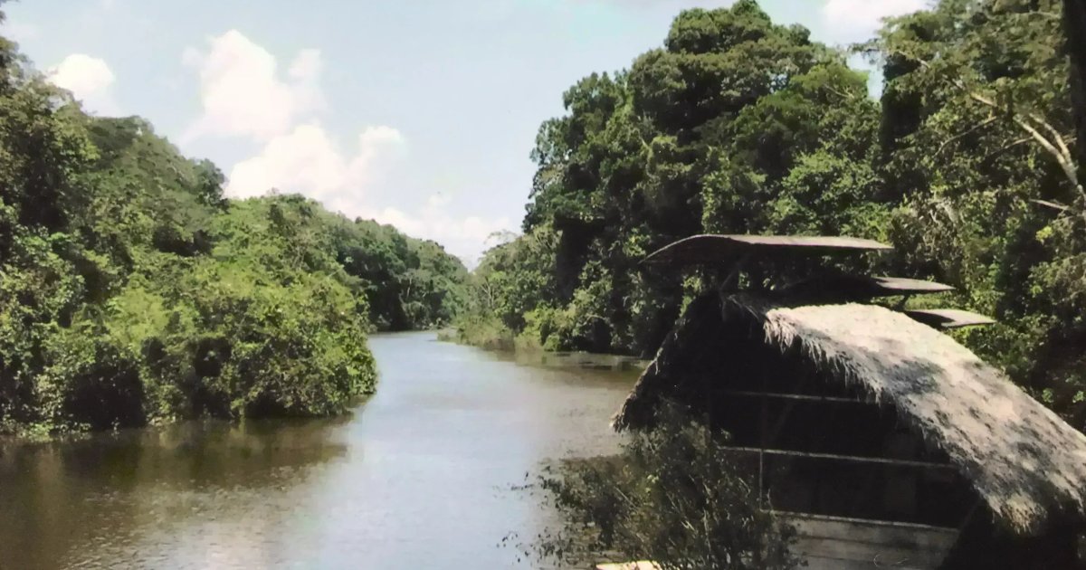 Indonésie et Japon renforcent la coopération en gestion forestière